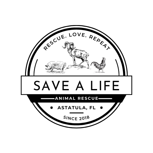 Save a Life Animal Rescue